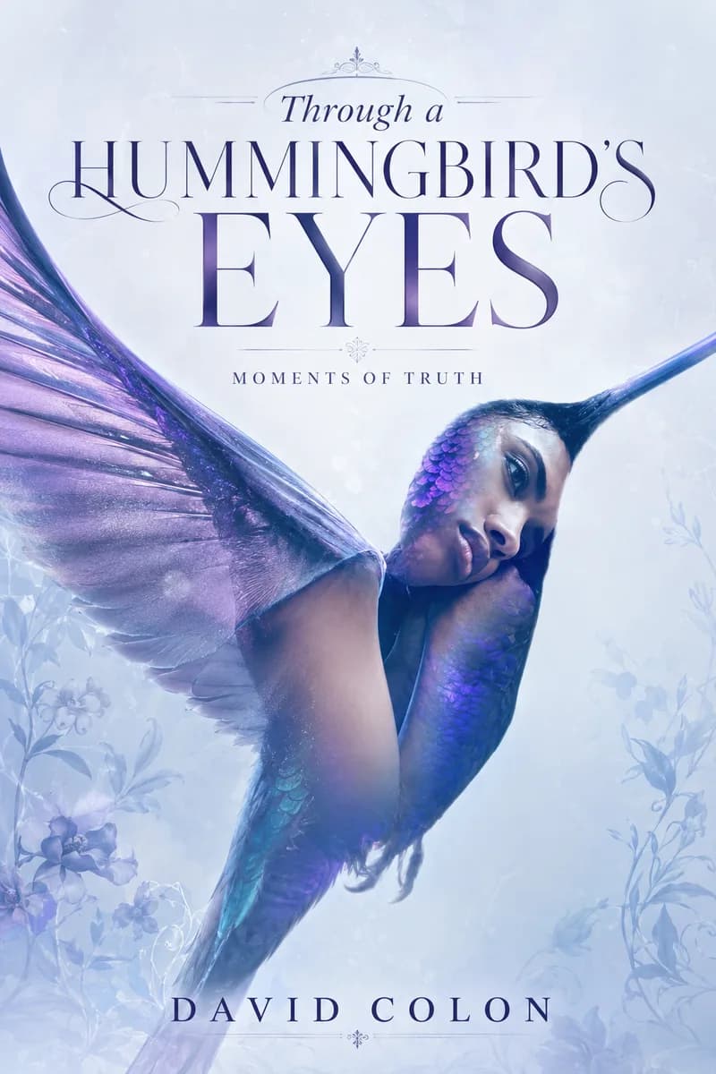 Through a Hummingbird's Eyes