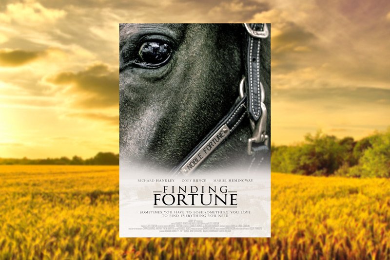 Finding Fortune