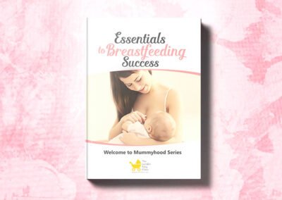 Essentials to Breastfeeding Success