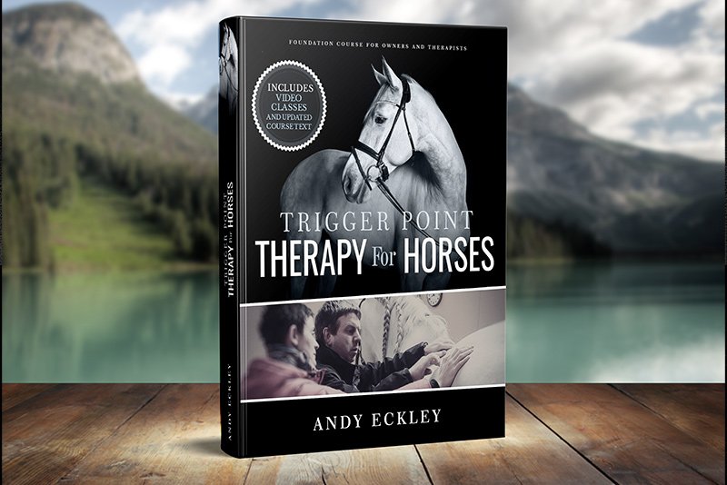 Trigger Point Therapy for Horses Course