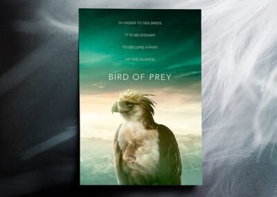 Bird of Prey | Alternative version #2