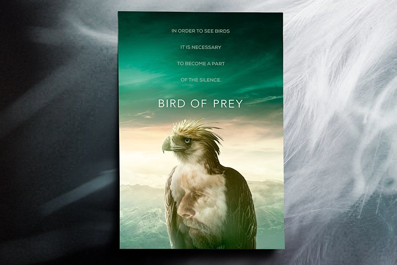 Bird of Prey | Alternative version #2