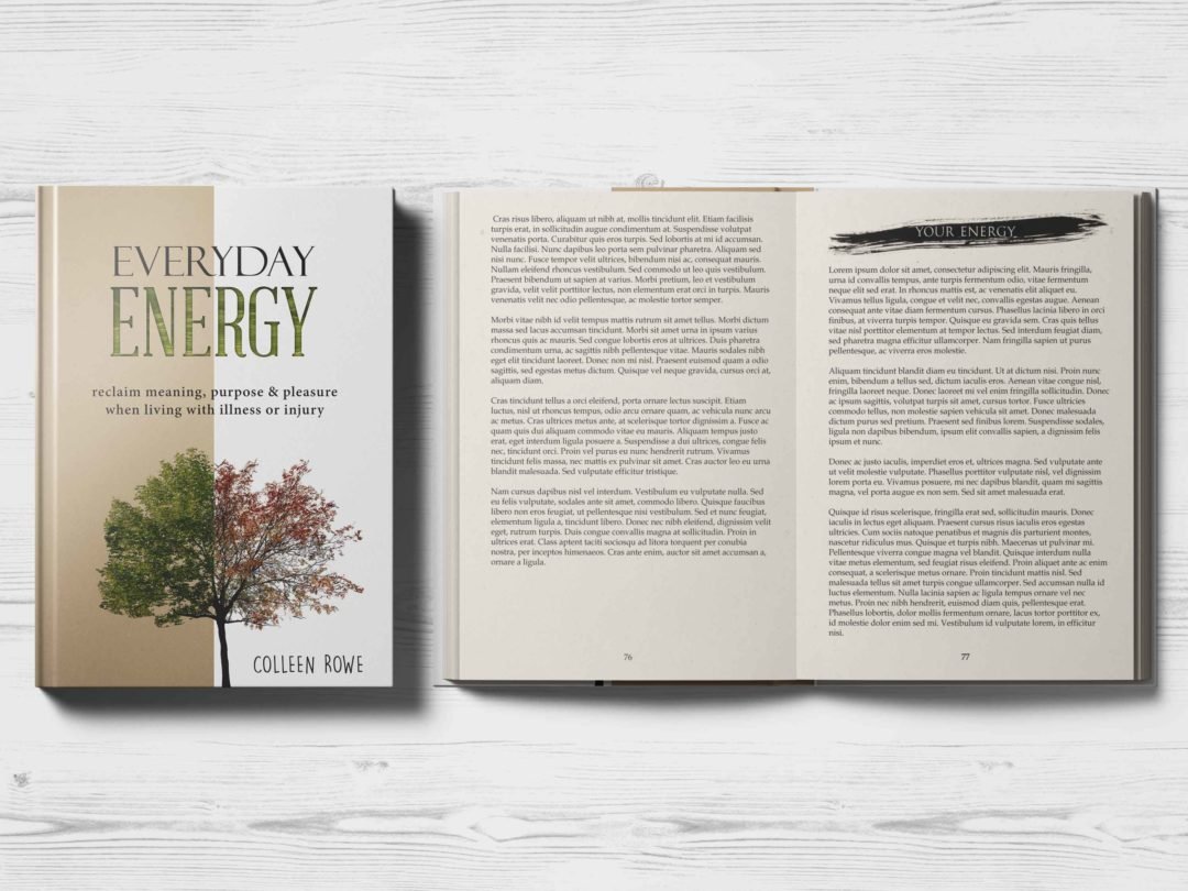 Everyday Energy Book
