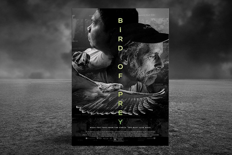 Bird of Prey | Documentary