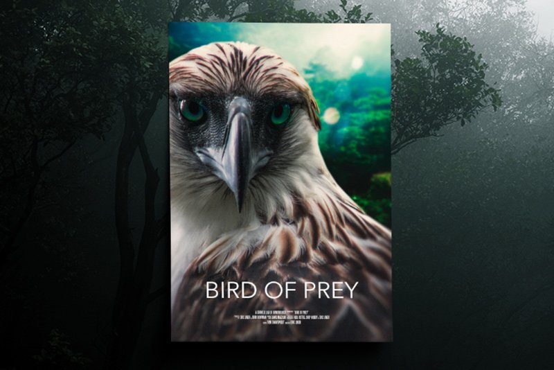 Bird of Prey | Alternative version #1